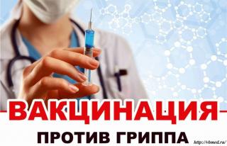 Вакцинация против гриппа в Гусь-Хрустальном