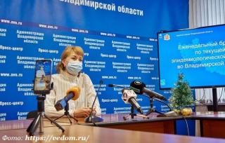 Елена Утемова призвала жителей Владимирской области соблюдать правила безопасного поведения во время новогодних праздников