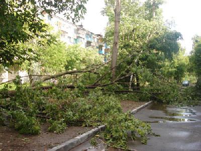 О ликвидации последствий урагана в Гусь-Хрустальном