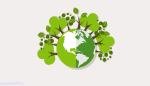 Старт международного проекта «Экологическая культура. Мир и согласие»