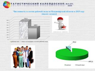 Занятость и безработица во Владимирской области в 2019 году ( по итогам обследования рабочей силы)