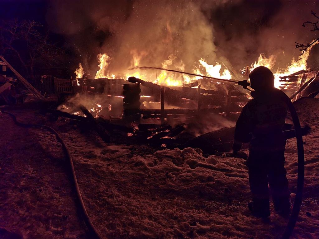 Пожарные Гусь-Хрустального гарнизона ликвидировали пожар в частном доме и  не дали огню распространиться на вольер с животными | 25.03.2021 | Гусь-Хрустальный  - БезФормата