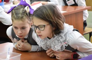 Дети из Гусь-Хрустального получают дополнительное образование в рамках федерального проекта «Успех каждого ребенка»