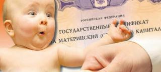 Срок принятия решения о выдаче сертификата на материнский капитал сокращен до 15 дней