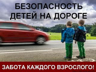 Общественный совет при МО МВД России «Гусь-Хрустальный» призывает родителей усилить контроль за безопасностью детей на дорогах