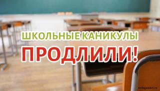 Школьные каникулы в Гусь-Хрустальном продлены до 14 ноября