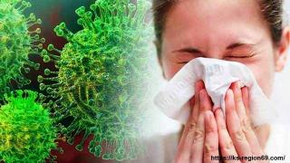 Об отличии симптомов сезонной аллергии и коронавирусной инфекции