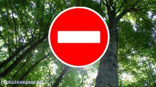 Во Владимирской области введены ограничения на пребывание граждан в лесах и на въезд в них частных автомобилей