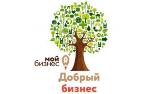 Социальные предприниматели Владимирской области приглашаются к участию во Всероссийском конкурсе «Мой добрый бизнес» 