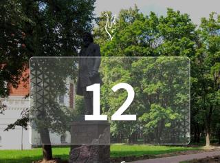       12 
