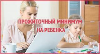 Во Владимирской области проиндексирован прожиточный минимум  для детей на 2020 год