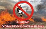 В Гусь-Хрустальном вводится особый противопожарный режим