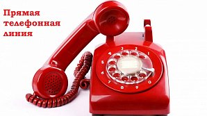 Управление Росреестра по Владимирской области проводит прямую телефонную линию: «Порядок предоставления сведений, содержащихся в Едином государственном реестре недвижимости»