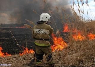 На территории Владимирской области с 12 апреля установлен пожароопасный период