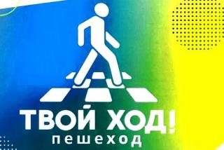 Во Владимирской области стартовала социальная кампания «Твой ход! Пешеход»