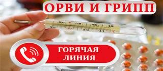 Во Владимирской области открыта «горячая линия» по вопросам профилактики гриппа и ОРВИ