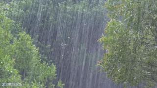 Прогноз НЕпогоды: на территории региона ожидается гроза с дождем