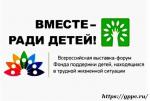 Владимирская область признана лидером в номинации «Ранняя помощь» на XI Всероссийском форуме «Вместе - ради детей. Ключевые программы партнёрства»