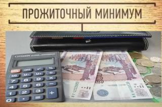 Во Владимирской области прожиточный минимум за третий квартал 2019 года составил 10485 рублей