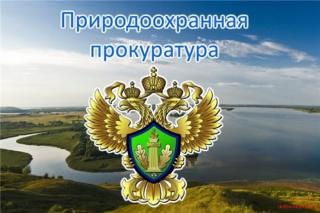 Владимирский природоохранный прокурор проведет выездной прием граждан в Гусь-Хрустальном