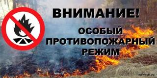 Во Владимирской области на 1-5 мая вводится особый противопожарный режим
