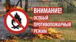 На ближайшие выходные во Владимирской области вводится особый противопожарный режим