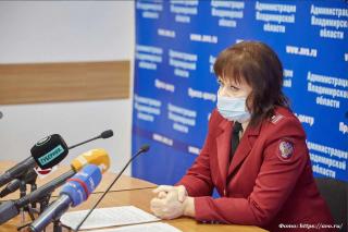 Во Владимирской области отмечается замедление темпов роста заболеваемости коронавирусом