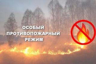 С 18 июня во Владимирской области вводится особый противопожарный режим