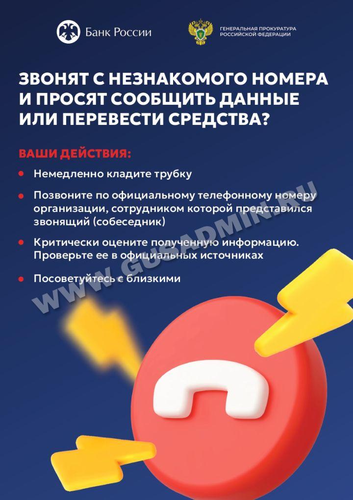 Мошенники Мошенники